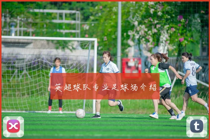 英超球队专业足球场介绍