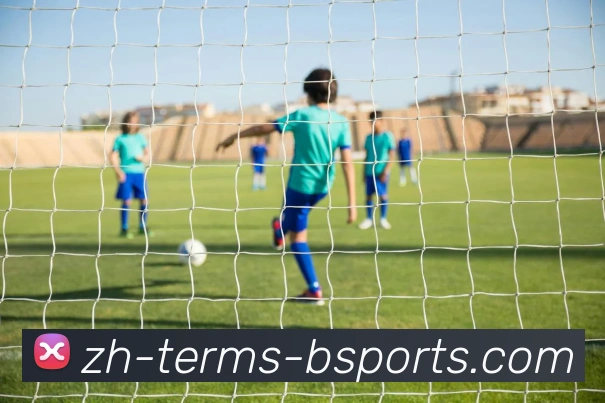 B体育APP 封面图